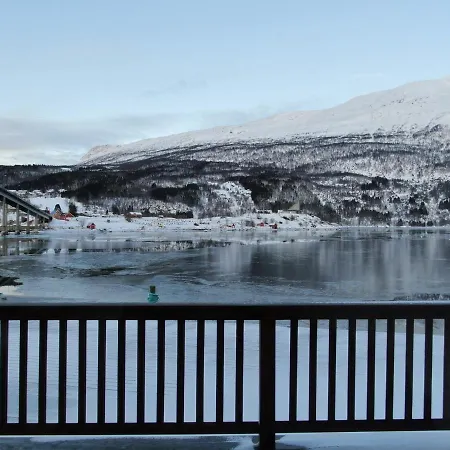 Arctic
