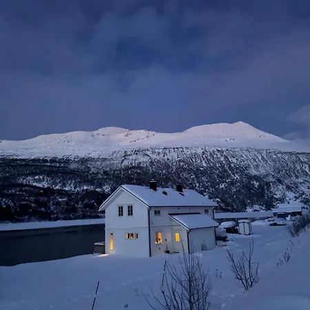فندق Arctic