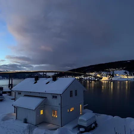 فندق Arctic